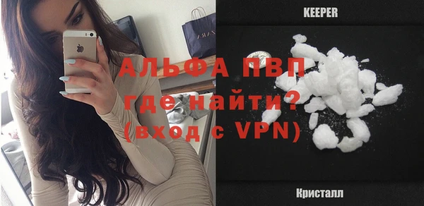 сатива Пересвет