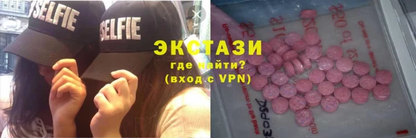 сатива Пересвет