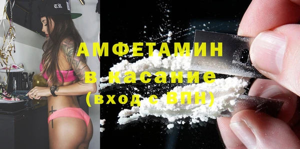 сатива Пересвет