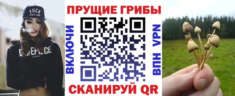 Галлюциногенные грибы Cubensis  Аткарск 